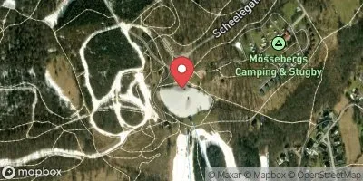 Skogssjön